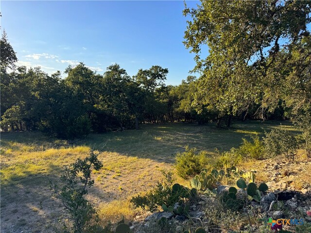 708 Malaga Ct, Canyon Lake, TX 78133