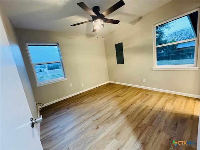 spare room with ceiling fan, electric panel, baseboards, and wood finished floors