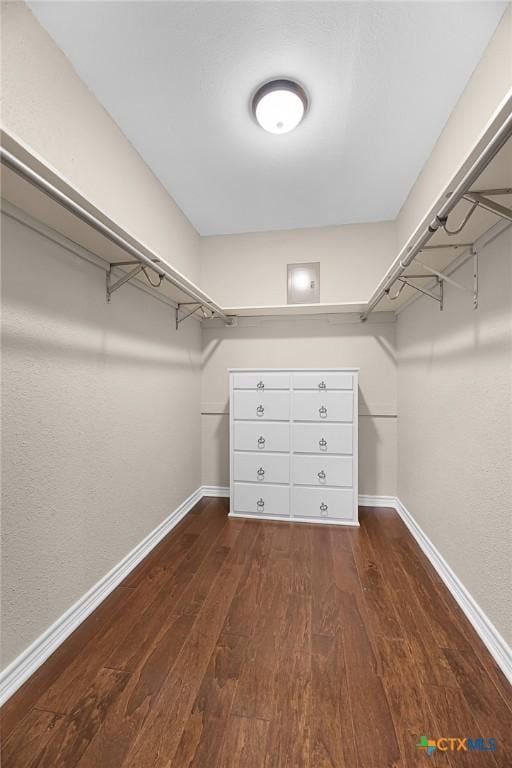 221 W Tanglewood Dr, New Braunfels, TX 78130 - walk in closet with dark wood-type flooring