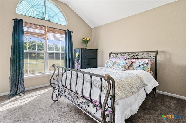 3197 Robin Ln, Kempner, TX 76539 - bedroom featuring lofted ceiling, carpet, multiple windows, and baseboards