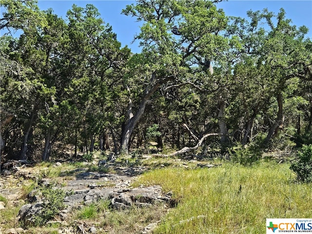 603 Copper Trce, New Braunfels TX, 78132 land for sale