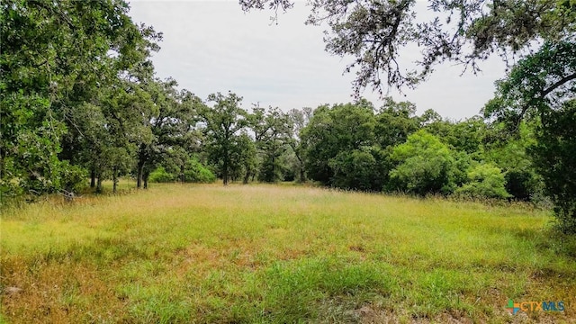 3514 Old Goliad Rd, Victoria, TX 77905 - view of local wilderness