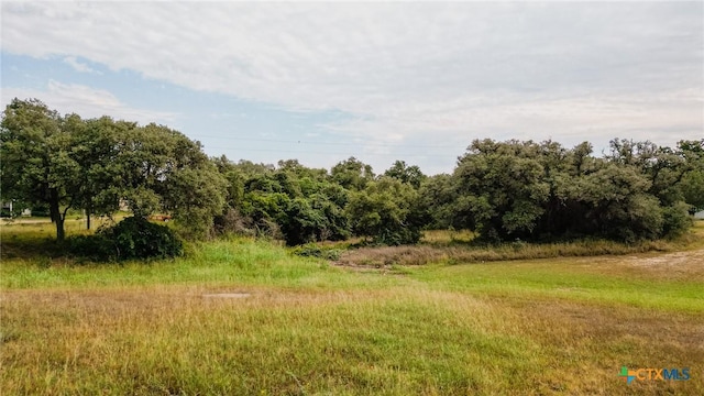 3514 Old Goliad Rd, Victoria, TX 77905 - view of local wilderness