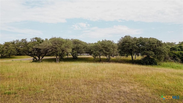 3514 Old Goliad Rd, Victoria, TX 77905 - view of nature