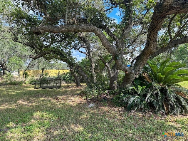 3514 Old Goliad Rd, Victoria, TX 77905 - view of yard
