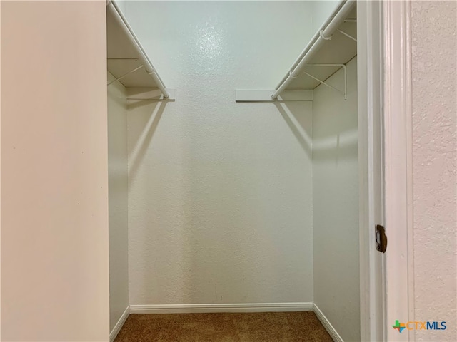 walk in closet featuring carpet floors