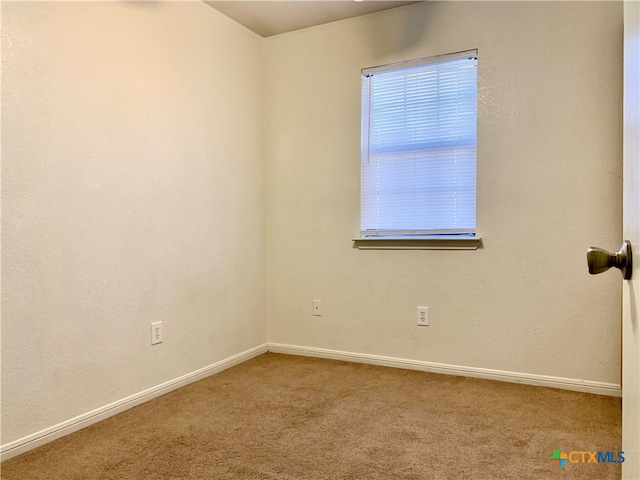 empty room featuring carpet