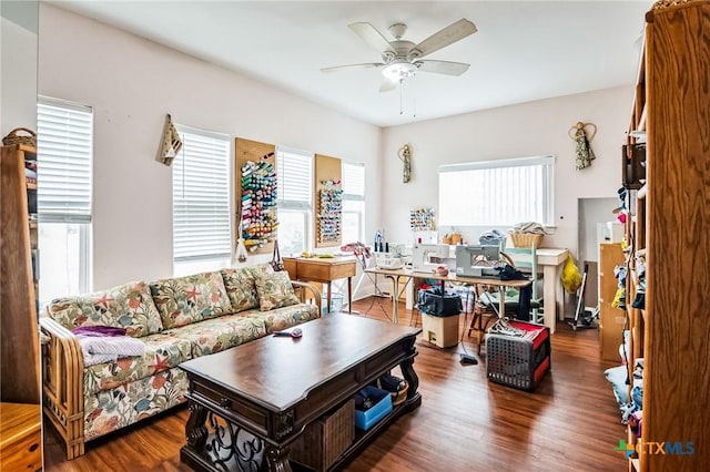 living room with ceiling fan and dark hardwood / wood-style flooring