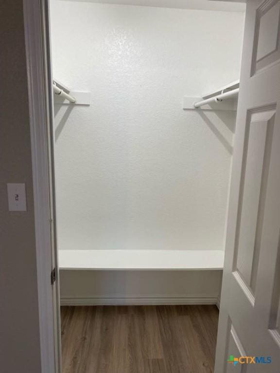 walk in closet with wood-type flooring