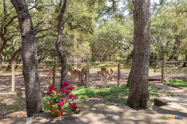 view of yard featuring a rural view