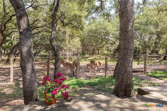 view of yard with a rural view