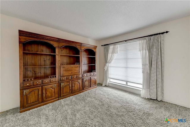 interior space with a textured ceiling and light colored carpet