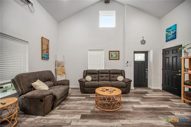 807 W Dallas Ave, Seadrift, TX 77983 - living area featuring baseboards, high vaulted ceiling, and wood finished floors