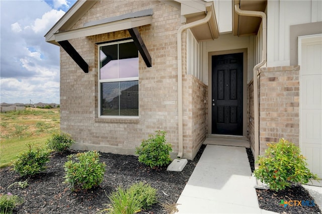 1591 Estelea Grv, New Braunfels, TX 78130 - photo 4