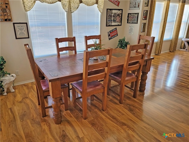 dining room featuring light wood-type flooring and a wealth of natural light