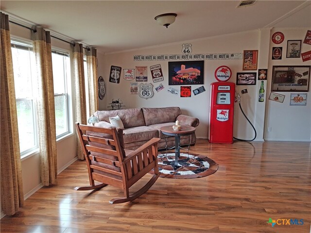 living room featuring hardwood / wood-style flooring and lofted ceiling