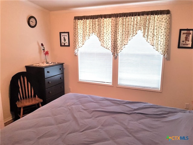 bedroom with crown molding