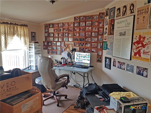 office with wood-type flooring and lofted ceiling