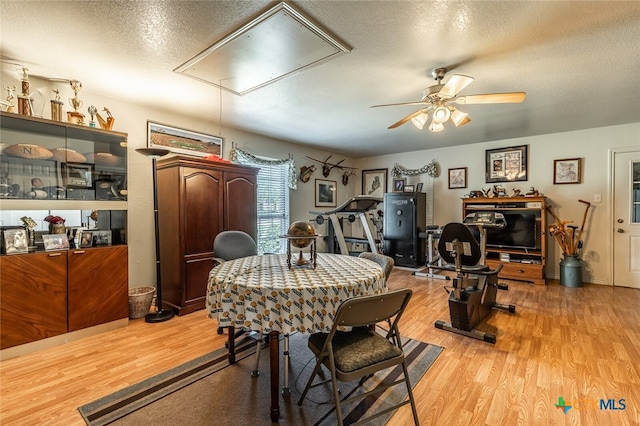 dining space featuring light wood-type flooring, a textured ceiling, and ceiling fan