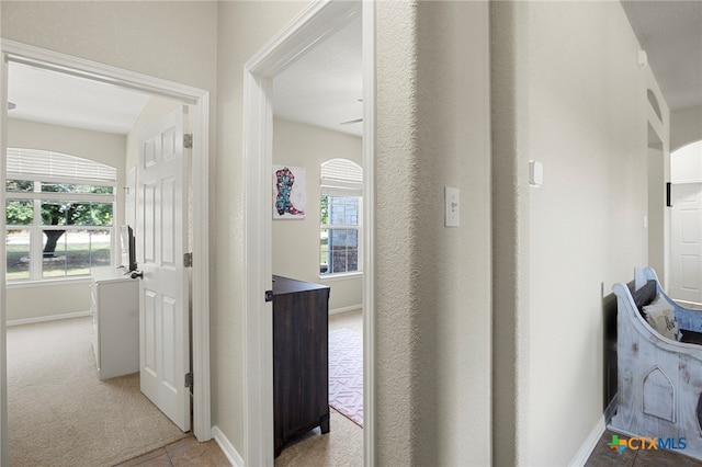 corridor with light colored carpet and plenty of natural light