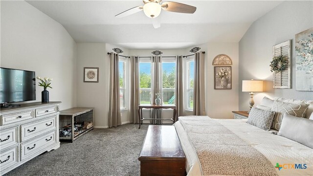 3590 High Cloud Dr, New Braunfels, TX 78130 - photo 25