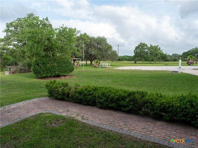 view of yard
