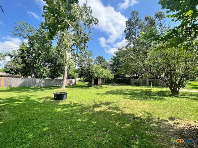 2809 Forest Trl, Temple, TX 76502 - view of yard