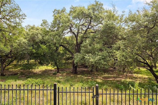 15118 Circle Oak St, San Antonio, TX 78232 - view of yard
