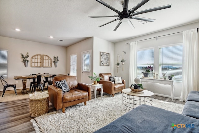 31696 Bard Ln, Bulverde, TX 78163 - living area featuring wood finished floors, a ceiling fan, recessed lighting, and baseboards