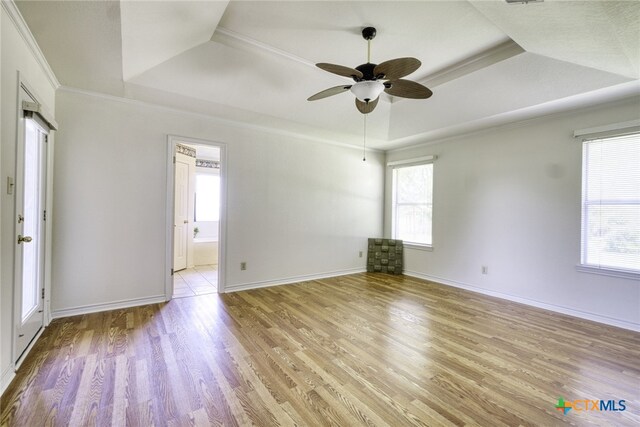 spare room featuring plenty of natural light, ceiling fan, and a raised ceiling