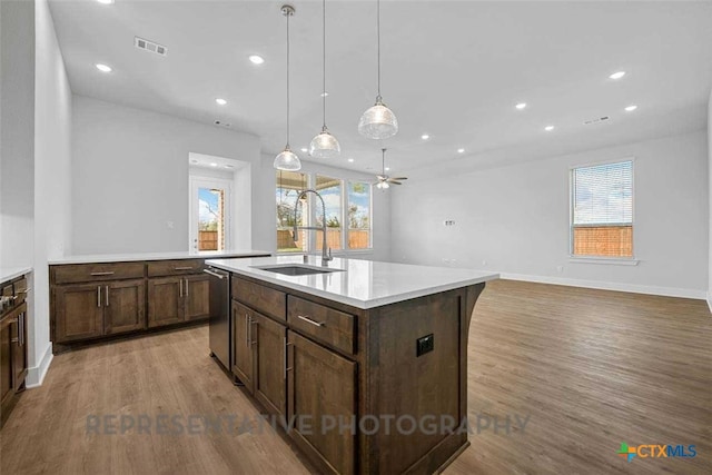 kitchen with stainless steel dishwasher, a wealth of natural light, a sink, and wood finished floors