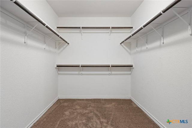 716 Kendra Dr, Temple, TX 76502 - walk in closet with carpet floors