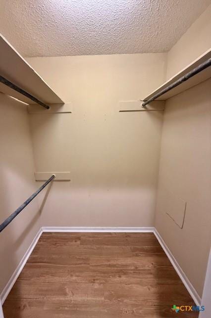 spacious closet featuring wood finished floors