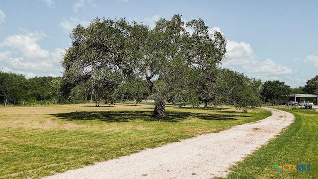 297 Moritz Rd, Meyersville, TX 77974 - photo 3