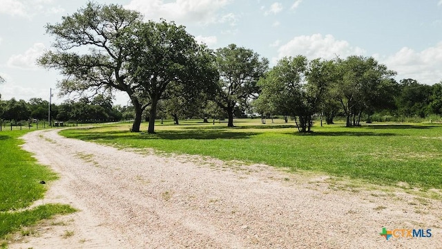297 Moritz Rd, Meyersville, TX 77974 - photo 5