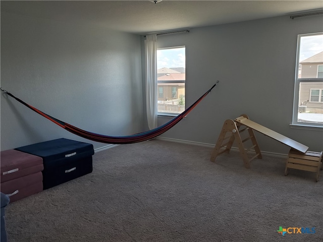 playroom with carpet floors