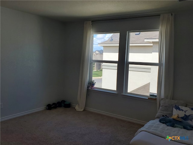 unfurnished bedroom with carpet floors