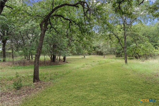 2816 Dunns Canyon Rd, Belton, TX 76513 - photo 42