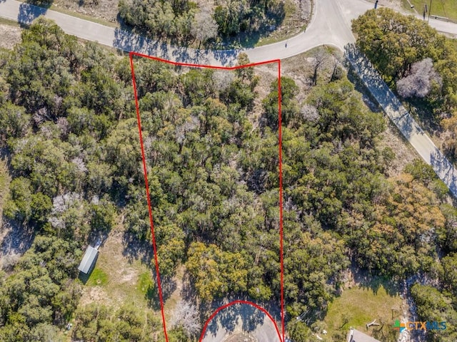 223 Lakeview Cir, Spring Branch, TX 78070