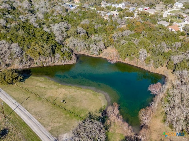 223 Lakeview Cir, Spring Branch, TX 78070