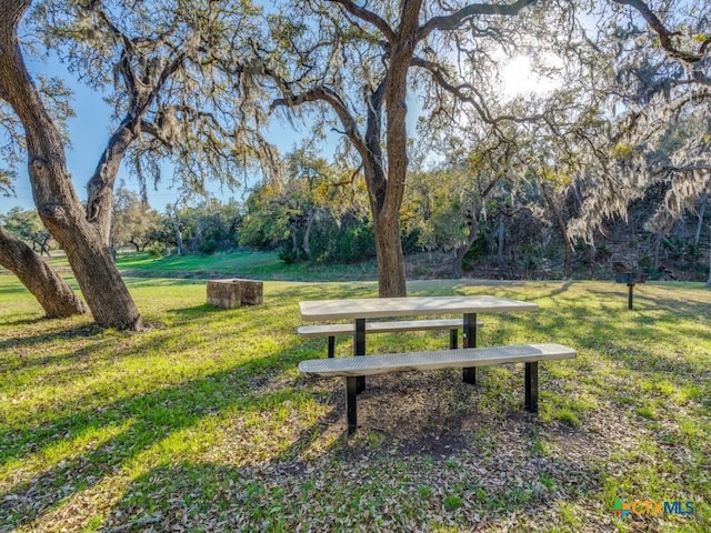 223 Lakeview Cir, Spring Branch, TX 78070