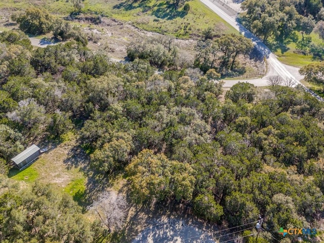 223 Lakeview Cir, Spring Branch, TX 78070