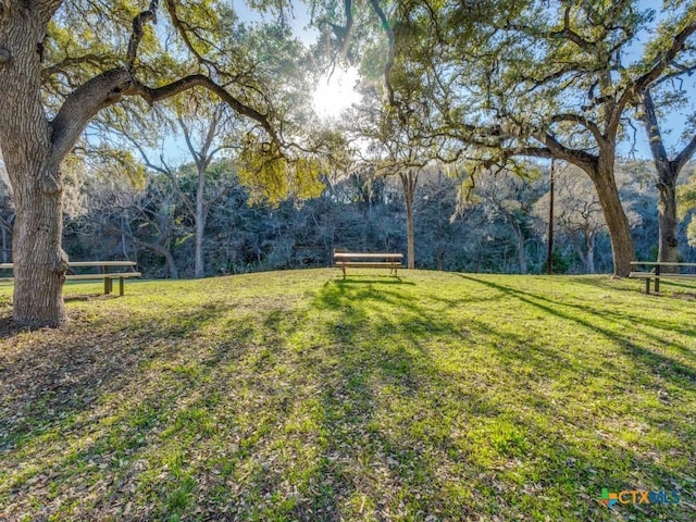 223 Lakeview Cir, Spring Branch, TX 78070