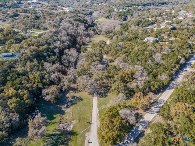 223 Lakeview Cir, Spring Branch, TX 78070