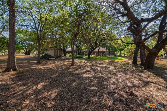 218 Montwood, Seguin, TX 78155 - photo 37