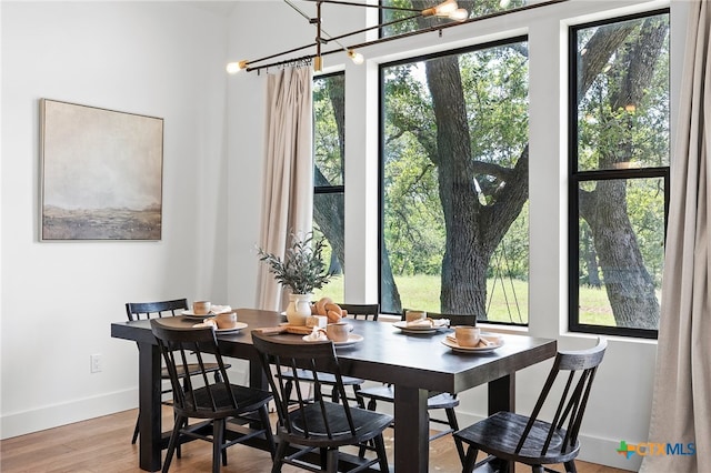 dining area featuring hardwood / wood-style flooring