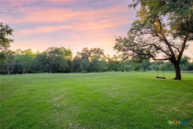 view of yard at dusk