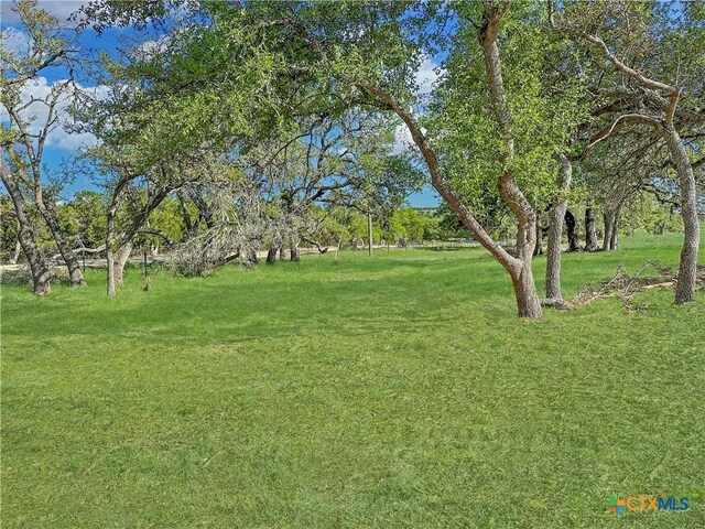 55 Thriving Oak Dr, Fredericksburg, TX 78624 - photo 18