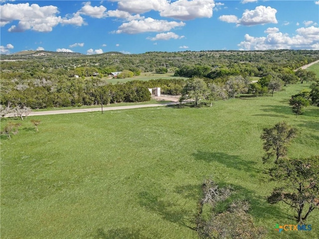 55 Thriving Oak Dr, Fredericksburg, TX 78624 - photo 6