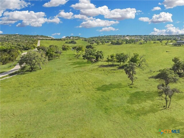 55 Thriving Oak Dr, Fredericksburg, TX 78624 - photo 14